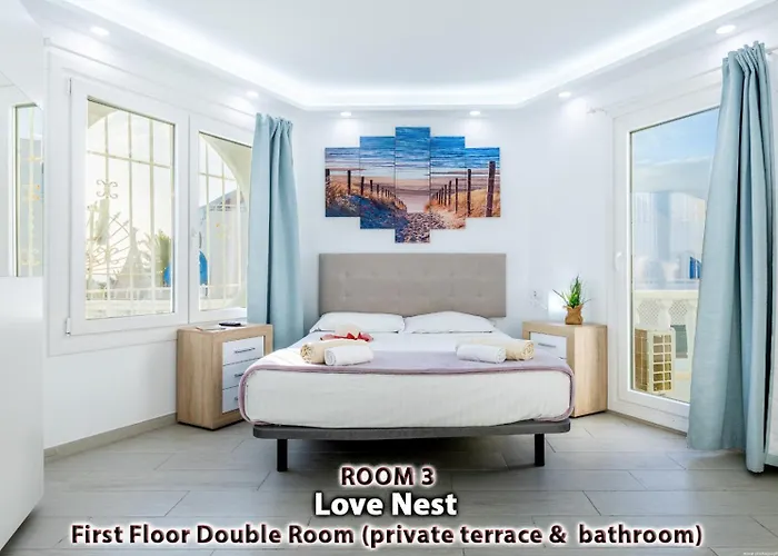 Fiesta Americas Up To 14 Guests Party *